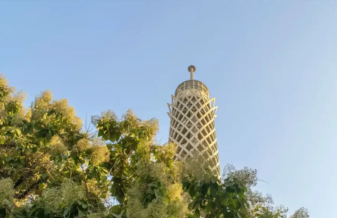 Tour du Caire entourée de feuillages, en Égypte