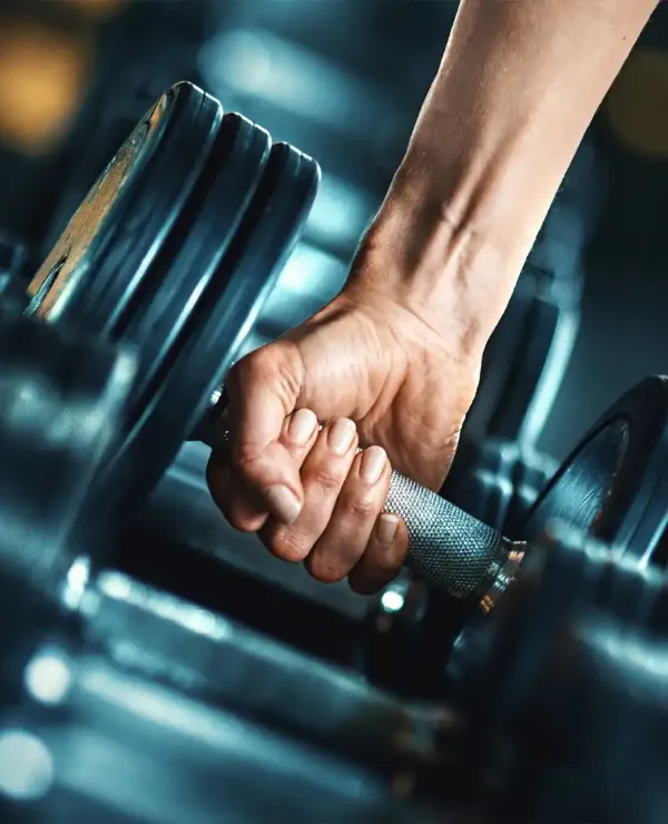 Free wieghts at the Giza Palace Gym.